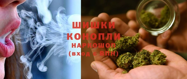 PSILOCYBIN Каменка