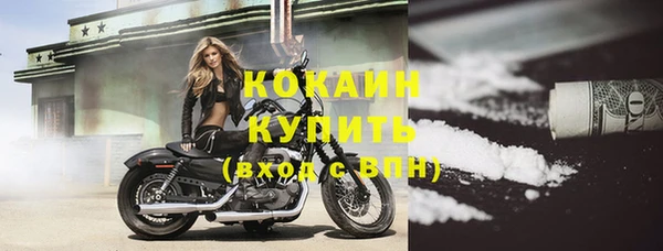 твердый Инта