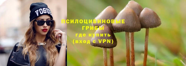 твердый Инта