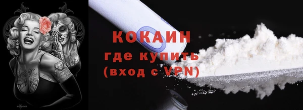 ECSTASY Инсар