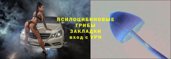 spice Тавда