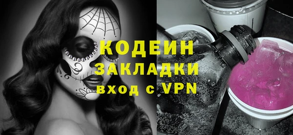 PSILOCYBIN Каменка