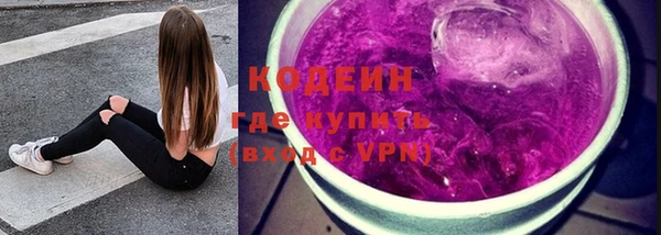 PSILOCYBIN Каменка
