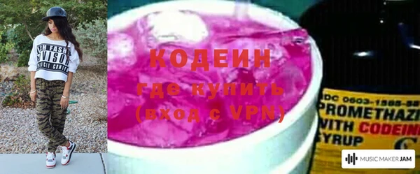 ECSTASY Инсар