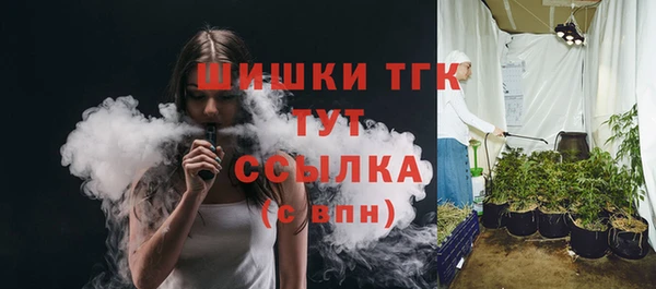 PSILOCYBIN Каменка